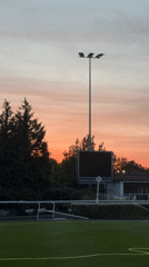 Spelthorne evening captures racetrack maintenance, candlelit string quartet performance
