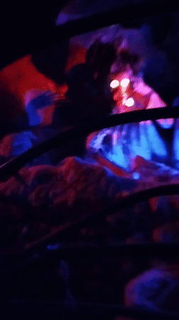 Temple visitors captured during morning activities in Vietnam