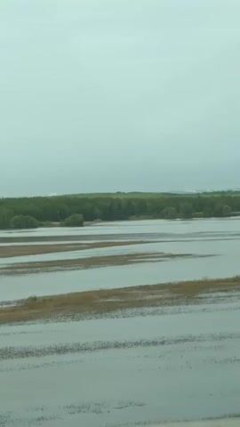 The video shows a flooded area, then a view of a highway bridge over what appears to be a canal and a green field. The video seems to be shot from a moving vehicle, as suggested by the changing scenery and the presence of a guardrail in the foreground. The sky is overcast and the overall light suggests a cloudy day.