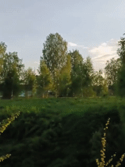 Spring garden documentation in rural Russian village