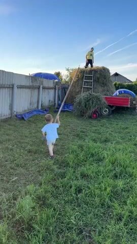This media file features two people in an outdoor, rural setting. The foreground shows a young child, likely a boy, wearing a light blue t-shirt with white polka dots and light-colored shorts. He is facing away from the camera and holding a long wooden pole, possibly a rake handle, with a blue rake head visible in his left hand. His stance suggests he is about to move or is in the process of playing.

In the background, an adult, presumably male, is standing atop a large haystack. He is wearing a yellow t-shirt and dark pants, and a cap. A wooden ladder leans against the haystack, providing access to the top. The haystack is quite substantial and appears to be a central feature of the scene. To the right of the haystack, a red trailer with a blue tarp is visible.

The scene is set in a grassy area, with a fence line running along the left side of the frame. Several blue tarps are scattered around the yard, some covering objects or hay. In the far background, more haystacks or bales are visible, suggesting a farm or rural homestead.

The time of day appears to be late afternoon or early evening, indicated by the warm, golden light and the long shadows. The sky is clear and blue with faint white contrails from aircraft. The overall atmosphere seems peaceful and idyllic, possibly depicting a moment of play or farm work in a rural Russian village like Kraishevo. No text is visible in the media file. The interaction between the child and the adult, with the child seemingly playing with farm tools while the adult supervises from the haystack, evokes a sense of wholesome childhood activity and rural life.