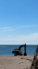 Beach excavator and BookTok woman observed in separate incidents