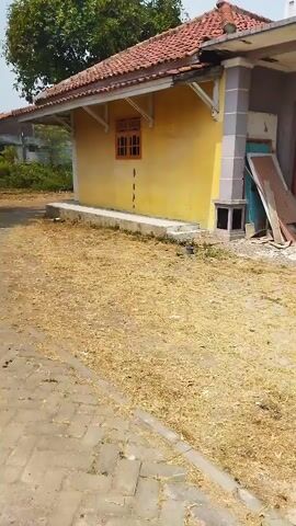 The video shows a low-angle, shaky shot of the exterior of a small, yellow building with a red tiled roof. The building appears to be a house or a small shop. There is a single window with wooden shutters. The ground in front of the building is covered in dry grass and debris. A paved walkway is visible in the foreground. The scene is outdoors and appears to be during the day. There are no people or animals visible in the video.