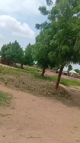 The video shows a view of a dusty road with several trees on the left side of the frame. The trees are green and leafy, and some of them have reddish-brown trunks. In the background, there are several buildings that appear to be houses or small structures. Some of these buildings have white roofs. The sky is partly cloudy with a blue sky visible between the clouds. The ground is covered in dirt and some dry grass. The camera appears to be moving, suggesting the video was recorded from a vehicle or while someone was walking.