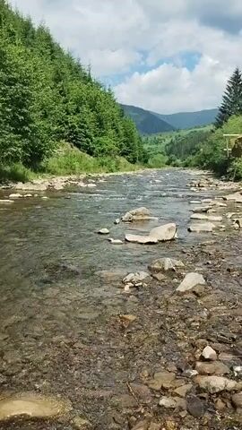 This video shows a scenic view of a river flowing through a valley. The river is clear and shallow, with a rocky bed visible beneath the surface. Several large, flat rocks are scattered along the riverbanks and within the water. On the left side of the river, a dense forest of green trees covers a steep hillside, reaching up towards the sky. The forest appears lush and healthy. On the right side of the river, the landscape is more open, with some scattered trees and a hint of a wooden structure or building in the distance.

The valley opens up into rolling green hills in the background, with layers of mountains fading into the distance under a partly cloudy sky. The clouds are white and fluffy, with some darker patches suggesting a recent or impending shower, but the overall impression is of a pleasant, possibly warm, day. The sunlight highlights the water and the greenery, creating a vibrant and natural scene.

The time of day appears to be daytime, likely late morning or early afternoon, given the brightness of the light and the quality of the shadows. The weather is fair, with a mix of sun and clouds. The location is identified as Synevyrska Poliana, Ukraine, which is known for its natural beauty and mountainous terrain, consistent with the imagery.

There are no people visible in the video, nor any specific objects of interest other than the natural elements of the river, rocks, trees, and mountains. The overall mood is one of tranquility and natural beauty, evoking a sense of peace and serenity. The activity taking place is simply the natural flow of the river, a timeless and gentle process. There is no visible text in the video.