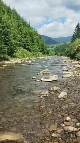 River valley and blooming peonies in Synevyrska Poliana