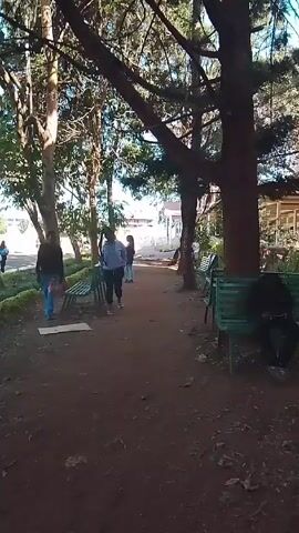 The video shows a pathway through a park-like area. Several people are walking on the path, away from the camera's perspective.  There are benches lining the path. Tall trees with dense foliage provide shade.  The path is dirt or reddish-brown.  Buildings are visible in the background. The lighting suggests it is daytime. The camera appears to be held by a person walking.  There is audible chatter or conversation in the background.
