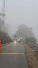 Orange van travels foggy road in Vietnam