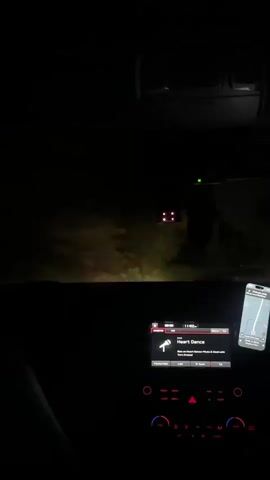 The video shows a car's dashboard at night. The car's radio is on, playing "Heart Dance." A phone with a GPS map is visible to the right of the radio. Red lights can be seen above the windshield, possibly from a device mounted there. The car appears to be driving on a road, which is dimly illuminated by the headlights. The overall environment is dark.