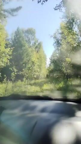 The video shows the view from inside a vehicle driving on a dirt road through a dense forest. The sun is shining, and the trees are lush and green. The road appears to be unpaved and is flanked by tall trees on either side. The vehicle is moving forward, and the trees and foliage blur slightly as it passes. The sky is visible above the trees and appears clear and blue. The dashboard of the vehicle is visible in the foreground, partially obscuring the lower part of the view. The overall impression is one of a peaceful drive through a natural, wooded environment.