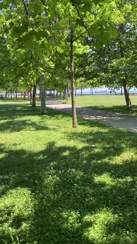 A handheld camera captures a sunny outdoor scene in a park featuring lush green grass and numerous trees with full canopies. A light-colored paved pathway curves through the park. Sunlight casts dappled shadows from the trees onto the grass and path. In the midground, two dark-clothed individuals are seated close together on the grass under a tree. In the background, a large body of water, likely a sea or lake, is visible under a clear blue sky, with several ships or barges on the horizon. Other distant figures can be seen walking or sitting along the waterfront. The camera slowly pans right throughout the video.