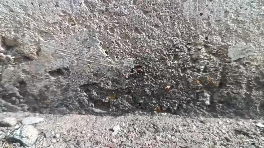 The video shows a close-up, low-angle view of a rough concrete surface. Numerous small, reddish-brown ants are visible crawling on and around the concrete, particularly along a crevice near the bottom of the frame. Some ants appear to be carrying small pieces of debris. The ground in front of the concrete is composed of small rocks and dirt. The lighting suggests it is daytime.