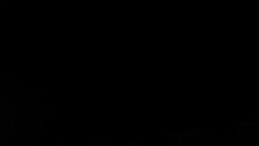 The video begins with a solid black screen. After one second, faint, almost imperceptible greenish-black splotches appear, predominantly in the lower half of the frame, with a few scattered across the upper portion. These splotches are inconsistent in size and shape, and their edges are blurred. They remain static for the duration of the clip.