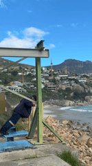 Coastal scenes and nature walks captured in Hout Bay