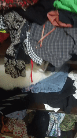 Cat rests among clothes on shelf in Tinaquillo