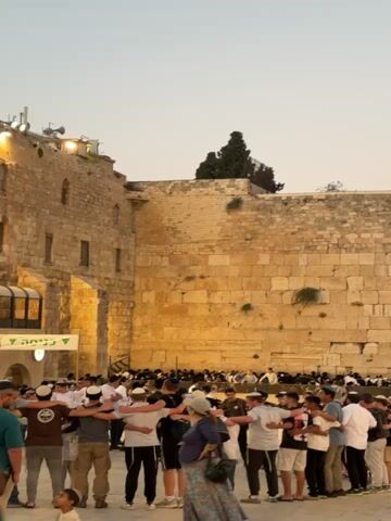 The video shows a crowd of people, mostly young males, in a large, open space in front of a massive stone wall. The wall appears to be ancient, constructed from large, irregular blocks of stone. The sky is a pale blue, suggesting it's either early morning or late afternoon. Many of the individuals are wearing kippahs, indicating a religious context, likely Jewish. They are linked arm-in-arm, forming several concentric circles and lines, and appear to be engaged in some form of communal activity, possibly singing or dancing. Some individuals are facing the wall, while others are looking towards the viewer. In the background, more people are gathered, some sitting and observing. A banner with Hebrew lettering is visible on the left side of the frame. The overall atmosphere seems festive and devotional.