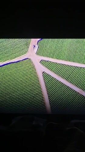 Aerial views capture organized agricultural fields near Caracas