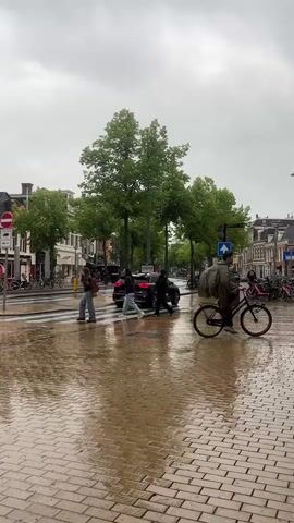 The video displays a street scene in Groningen, Netherlands, captured on an overcast day. The wide, brick-paved street is visibly wet and reflective from recent rain, with clear reflections of buildings and trees. Tall, green trees line the street, interspersing multi-story buildings with classic European architecture, many featuring storefronts and ground-floor cafes.

Several people are active in the frame. Pedestrians are seen crossing a prominent zebra crossing; at the start, three individuals walk from left to right across the street. Cyclists are also present, with multiple people riding bicycles across the street in both directions throughout the clip, and numerous bicycles parked along the sidewalks, a common sight in the Netherlands. A dark SUV is briefly visible in the background, appearing to be stopped or moving slowly.

Various street furniture and signs are visible. These include streetlights, benches outside establishments, and traffic signs such as a red circular sign with a white horizontal bar (indicating 'no entry' for certain vehicles) and a blue arrow sign pointing right and up. Visible text on storefronts includes "Koopmanshuis" and "VOETENBLOG" on the left side of the street, and "PASAR" on a sign further down to the right. The overall atmosphere is that of a calm, bustling urban environment, with daily activities proceeding despite the damp weather conditions.