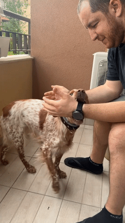 Morning domestic life with dog captured in Sofia apartment