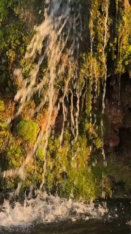A small waterfall cascades down a moss-covered rock face. The water is clear and reflective in the sunlight. The moss is vibrant green and brown, growing on the rock.