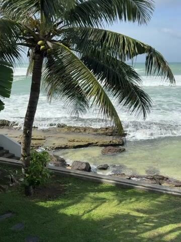 The video shows a view of a beach with a palm tree in the foreground. The ocean is visible in the background with waves crashing on a rocky shore. The grass in the foreground is green and there are shadows from the palm tree on the grass. There is a white wall or railing to the left of the frame. The sky is overcast. The video is very short, only 5 seconds long, and there are no people or animals visible. The camera appears to be stationary.