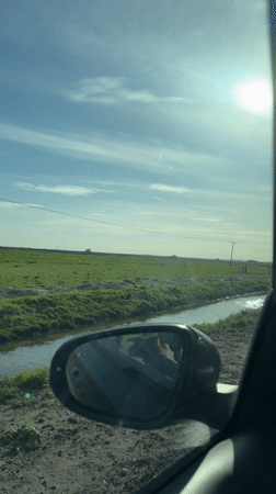 Vehicle travels muddy road near stream in Great Yarmouth