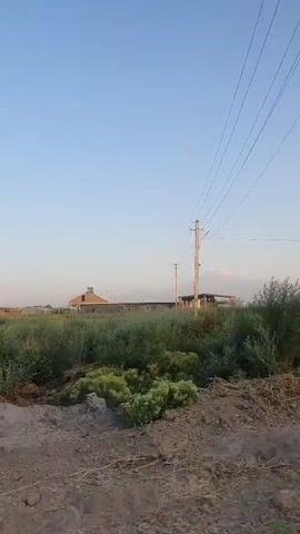 The video pans slowly across a landscape with a clear blue sky. In the foreground, there is dry, brown dirt and vegetation. In the middle ground, there are tall green and golden grasses and bushes, some with feathery yellow flowers. In the background, there are several buildings, including a brick house with a chimney, and a structure with a covered roof. A utility pole with power lines is visible to the right. In the far distance, a snow-capped mountain is visible under the hazy sky. The scene appears to be rural or semi-rural.