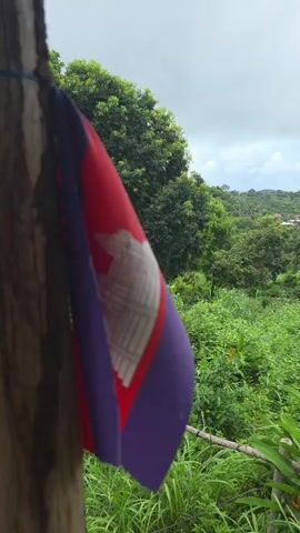 A close-up shot shows a flag attached to a wooden post on the left. The flag has red and purple sections and a white emblem in the center. The background is a lush, green landscape with trees and vegetation under a cloudy sky. In the distance, a few houses with red roofs are visible. The camera pans slightly to the right, revealing more of the greenery and a glimpse of orange flowers in the foreground. The video appears to be shot outdoors, possibly in a tropical region, with a slightly overcast sky.