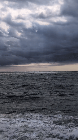Woman feeds black dog on sidewalk in Kobuleti, Georgia