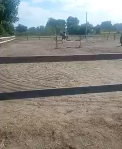 A person on horseback is seen practicing in a sandy arena. The horse is dark brown and the rider is wearing a light-colored shirt and helmet. There are wooden fences surrounding the arena, and in the background, there are trees and a bright sky with some clouds. The horse is cantering and appearing to jump over an obstacle, though the obstacle is not clearly visible in the frames. The ground is uneven and dusty, suggesting recent activity. The video is shot from a low angle, with a wooden fence in the foreground partially obscuring the view.