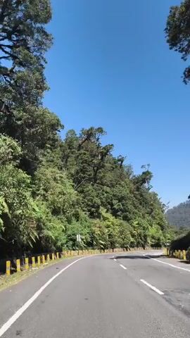 The video shows a paved road winding through a lush, green mountainside. The road has clear white lines marking the lanes and a yellow-and-white guardrail along the left side. Dense foliage, including trees and ferns, covers the mountainside to the left of the road. The sky is a clear, bright blue. In the distance, the road curves and other vehicles are visible. On the right side of the road, there are some structures, including red umbrellas, suggesting a roadside market or rest stop. The video appears to be shot from a moving vehicle, looking forward and slightly to the right. The overall impression is of a scenic drive through a mountainous, forested area on a sunny day.