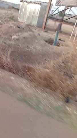 The video shows a dirt field in what appears to be a developing country. In the background, there are several low-rise buildings and some palm trees. There are also a few people walking around on the field. In the foreground, there is a dirt bank and some trash. A sign for the Nigerian Meteorological Agency can be seen in the distance. The video is shot from a moving vehicle.