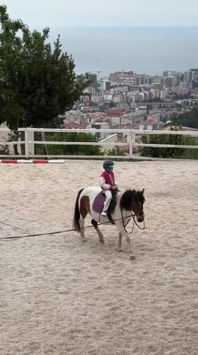 Young rider practices on pony in Montenegro arena