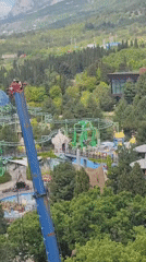 Blue crane spotted at Ukraine theme park construction site