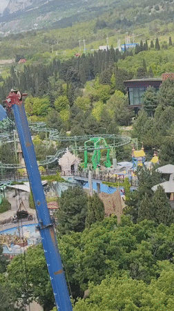 Blue crane spotted at Ukraine theme park construction site