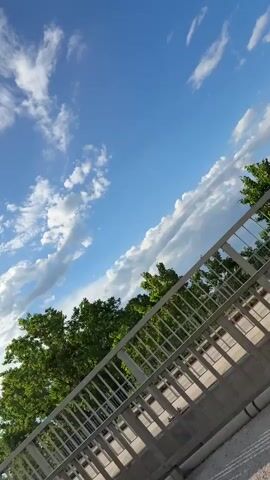The video shows a low-angle shot from a bridge, looking diagonally upwards toward a bright blue sky dotted with white clouds. The bridge's metal railing runs along the bottom half of the frame, with glimpses of the bridge's surface visible through the railing. Green trees are visible beyond the railing, filling the space between the railing and the sky. The camera appears to be in motion, perhaps panning slowly. A road sign with a triangular shape and red border is briefly visible on the right side of the frame.
