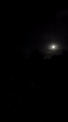 Full moon photographed through trees in Kuta Selatan