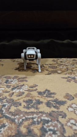 Cat enjoys rainbow birthday cake while robot dog plays nearby