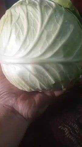 A close-up shot features a person's hand holding a head of cabbage. The cabbage is round and pale green, with visible veins on its leaves. The background is dark and slightly blurred, suggesting an indoor setting. The lighting is dim, casting shadows on the cabbage and hand.