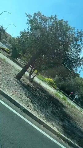 The video shows a view from a vehicle moving along a road on a sunny day. The road curves to the left. On the right side of the road, there is a signpost with directional signs indicating "SANT LLORENC" and "MANACOR" and "PALMA." Beyond the signpost, there are trees and buildings, including a palm tree. The sky is blue with a few white clouds. The road is paved and has white lane markings. The foliage on the side of the road is green and dry in places.