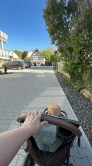 Parent with stroller spotted in Meisenheim during sunny afternoon