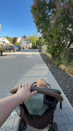 Parent with stroller spotted in Meisenheim during sunny afternoon
