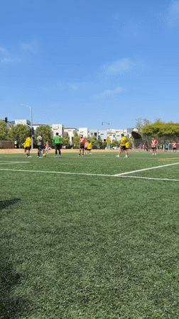 Evening soccer match played on artificial turf in Los Angeles