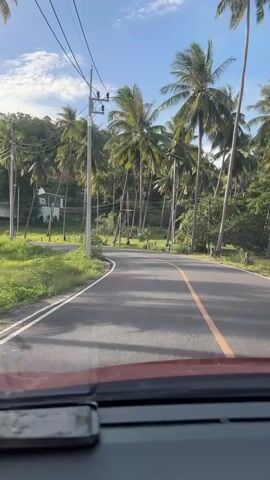 The video shows a view from inside a vehicle, looking out at a paved road lined with numerous tall palm trees on both sides. The road curves to the left. The sky is blue with some white clouds. There are telephone poles and power lines visible along the side of the road. On the left side of the road, there is a grassy area and some houses are visible on a hill in the distance. On the right side of the road, more palm trees and dense green vegetation are present. The sun appears to be shining, casting shadows on the road.