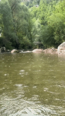 Summer afternoon swimming and relaxing at a Saint-Claude river