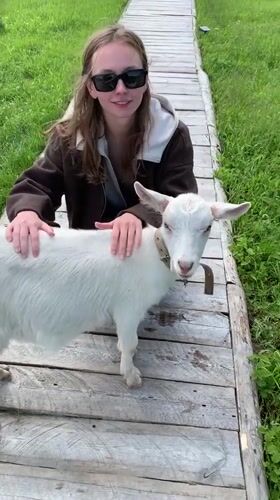 Petting a white goat on a wooden walkway in rural Belarus