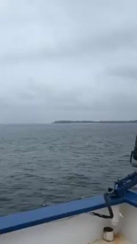 The video shows a view from the front of a large cargo ship at sea on a cloudy day. The ship appears to be moving steadily through choppy water. The deck of the ship, painted in yellow and red, stretches out towards the horizon. A shoreline is visible in the distance. A black spotlight is mounted on the bow of the ship. There are no people visible in the frame. A bird flies overhead.