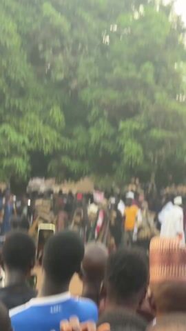 The video captures a gathering of people in an outdoor setting. In the forefront, several individuals are adorned in intricate costumes, likely part of a cultural or traditional ceremony. They are surrounded by a crowd, many of whom are holding up their phones to record the event. The backdrop includes a large, leafy tree providing shade over the gathering, with buildings visible in the distance. The atmosphere appears lively and celebratory.
