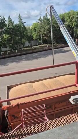 The video depicts an outdoor industrial scene, likely a grain loading facility, based on the context of Petropavl City Administration, Kazakhstan. The primary activity is the transfer of grain from a truck into a larger container, possibly a train car or silo, using an auger conveyor.

The subjects are the truck filled with grain and the mechanical conveyor system. The truck is orange and appears to be a standard heavy-duty vehicle. The conveyor, labeled "Rakoraf PFIEUFFER," is a long, angled metal tube with a silver discharge end. A green hose is attached to the side of the conveyor near the discharge point. The grain itself is a light brown, granular material.

The setting is an open, paved area surrounded by trees. The trees are green and leafy, suggesting a temperate climate and possibly summer or late spring. In the background, there's a fence and a building, further indicating an industrial or agricultural facility. A silver car is visible in the middle distance. The sky is partly cloudy with blue patches, indicating fair weather and likely daytime, given the shadows.

The notable details include the industrial nature of the operation, the clear view of the grain being moved, and the presence of text on the conveyor. There are no visible people in the frame. The overall emotion conveyed is one of functional activity and industrial process.