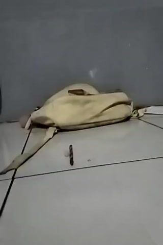 A handheld video shows a low-angle view of a tiled floor in front of a grey wall. On the floor, a beige bag lies next to a white piece of paper. In the foreground, two pens and a spoon are scattered on the tiles. In the background, a pink and white exercise machine is visible. To the right, a small, clear, round object sits in a white cup, reflecting colorful lights. The video briefly pans to the right, revealing a draped pink fabric hanging on the wall.